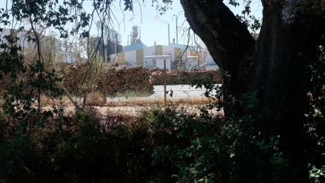 Documentary still - Cork treatment facility 