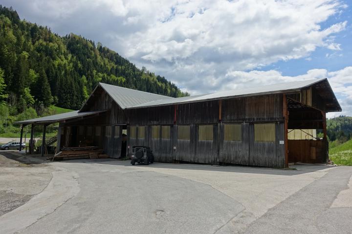 Vieux Bois des Alpes ©Opalis